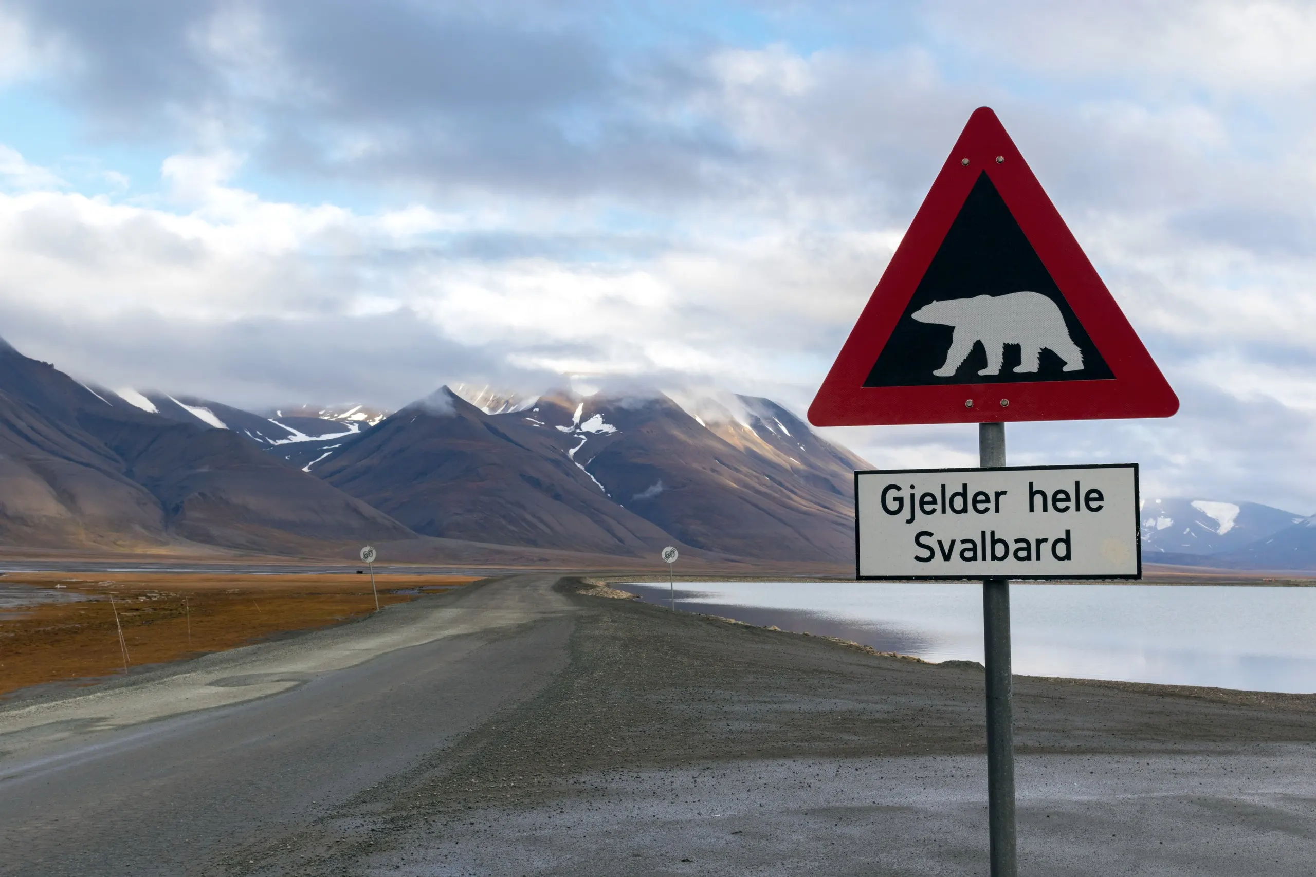 Polar bear warning sign at the edge of an empty Svalbard road