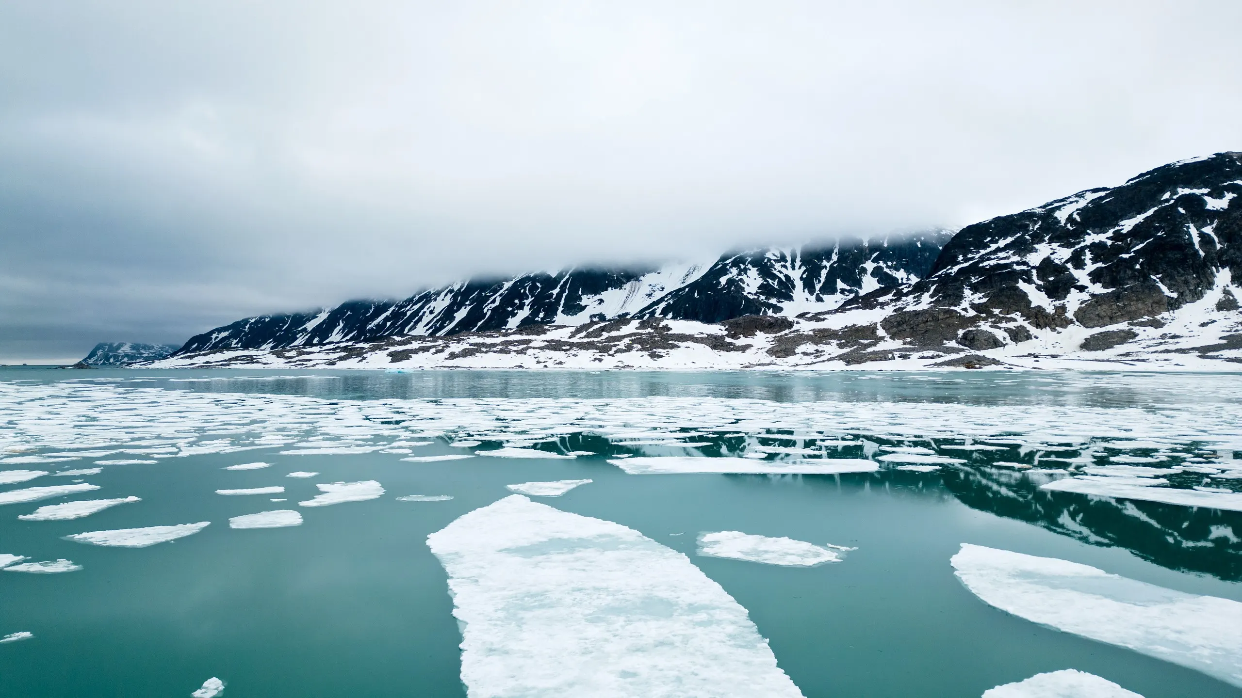 Drifting sea ice on teal water below dark ridges in remote wilderness