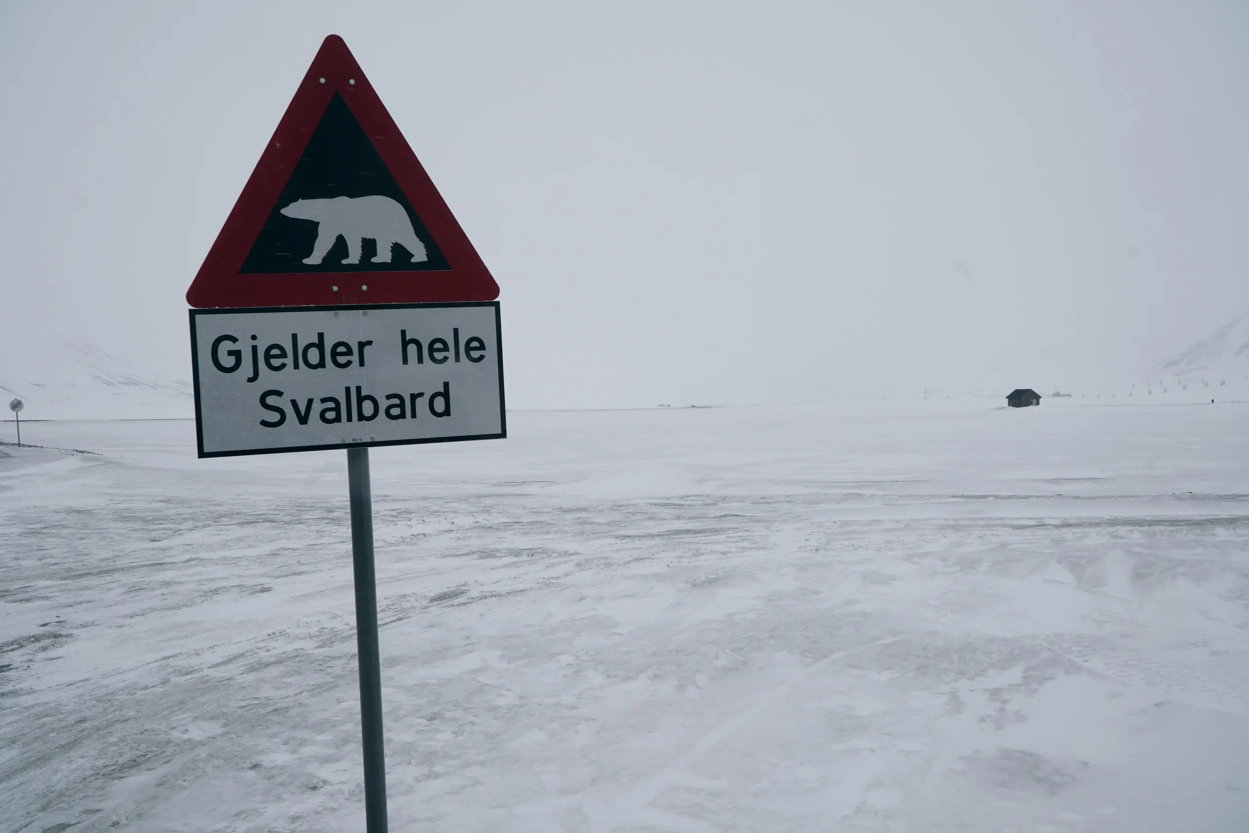 Polar bear warning sign standing in a vast snowy emptiness near Longyearbyen