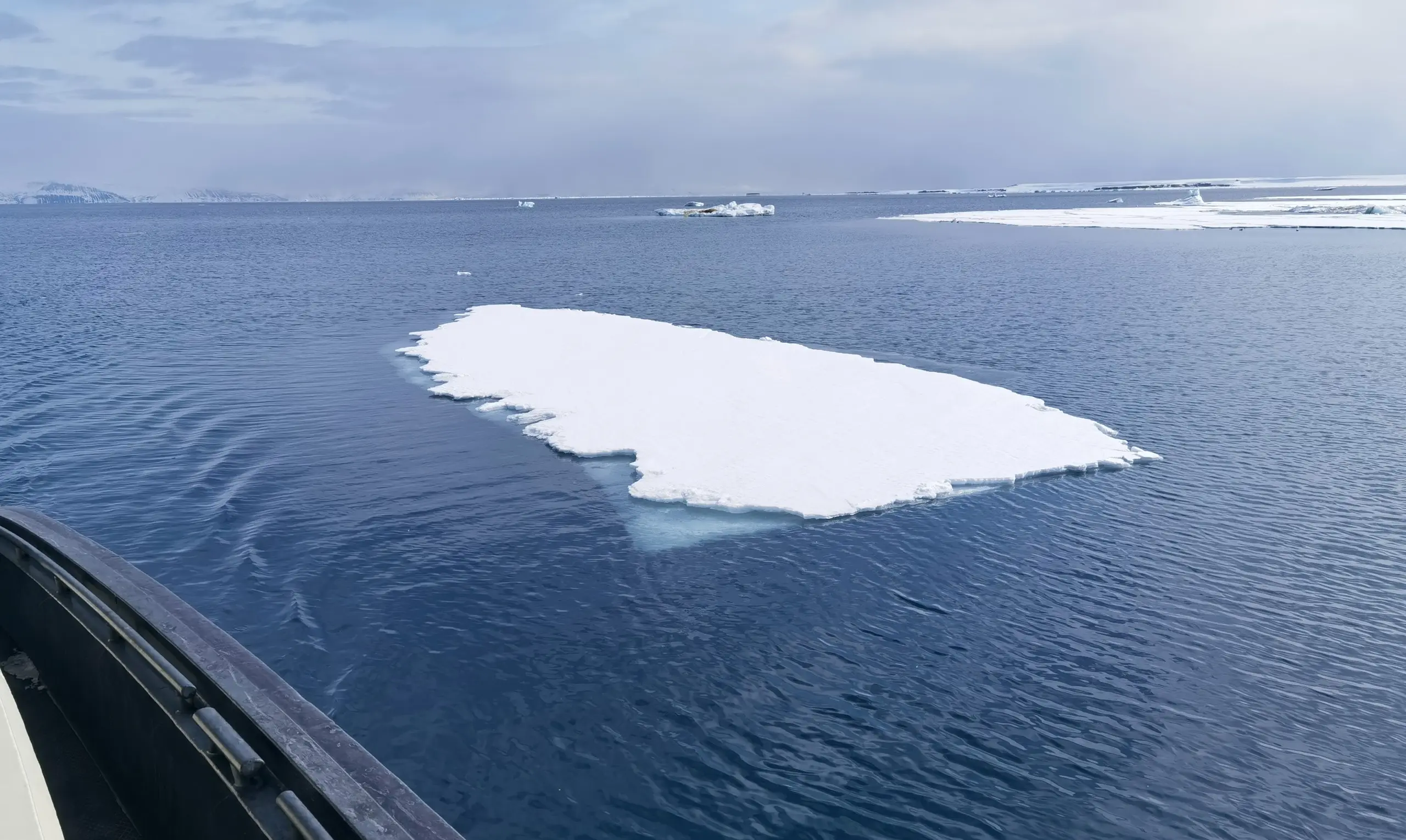 Flat ice floe drifting on deep blue water at the sea-ice edge