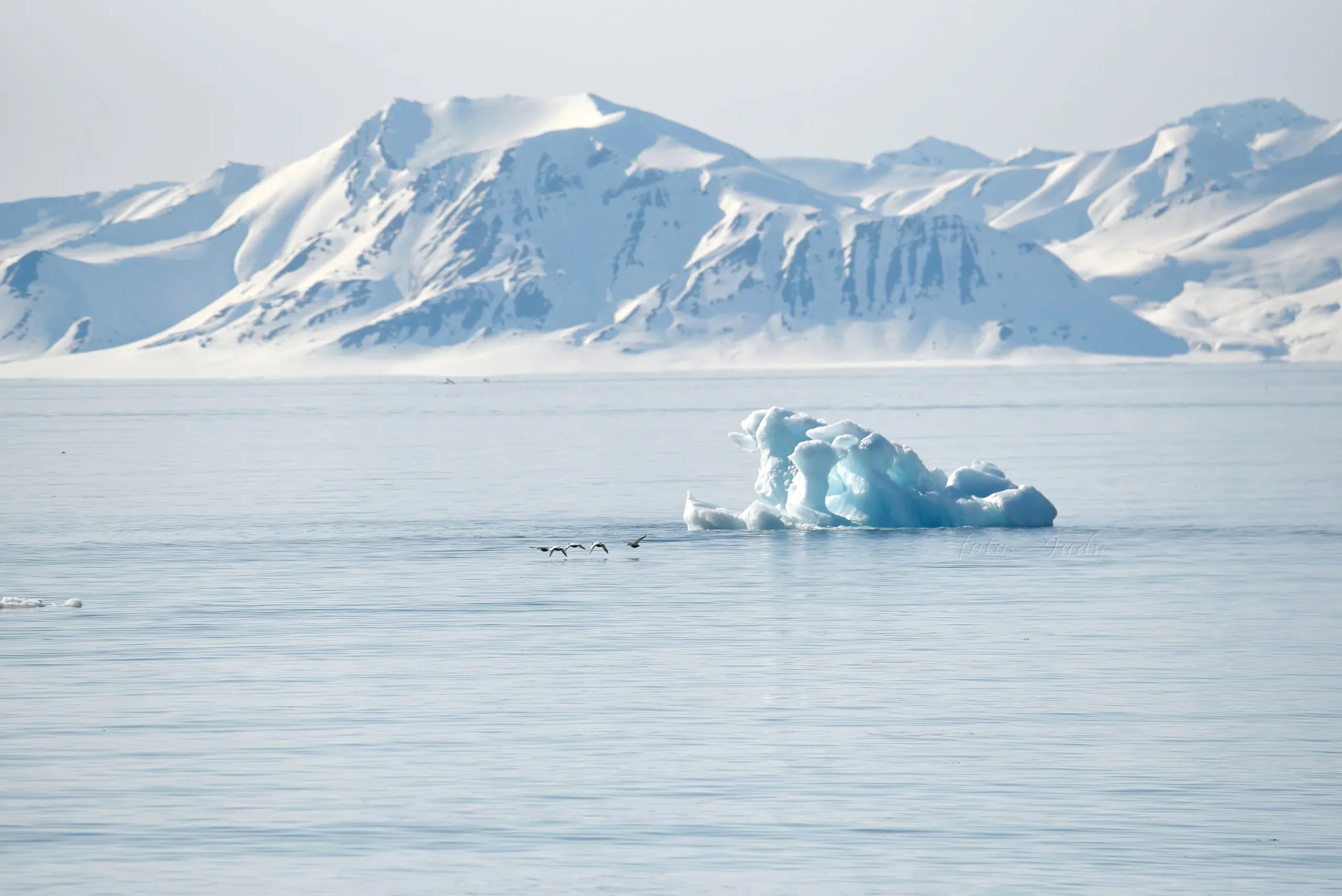 A vast blue iceberg drifting before snowy Arctic peaks
