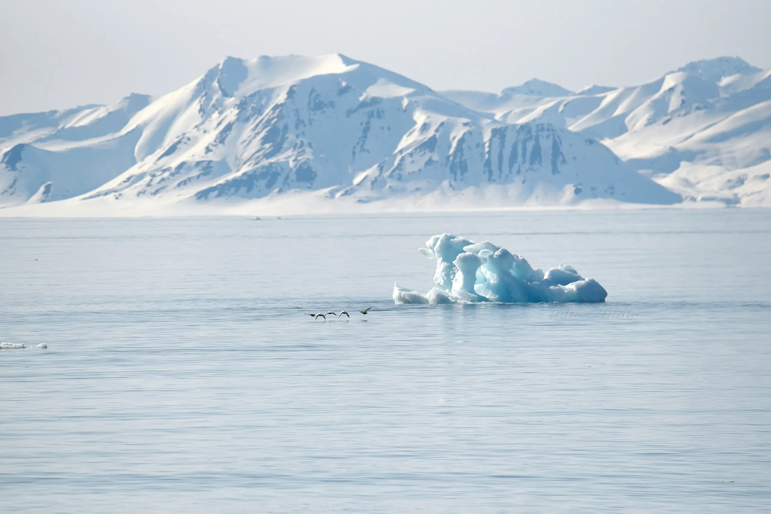 Blue iceberg before snowy Arctic peaks
