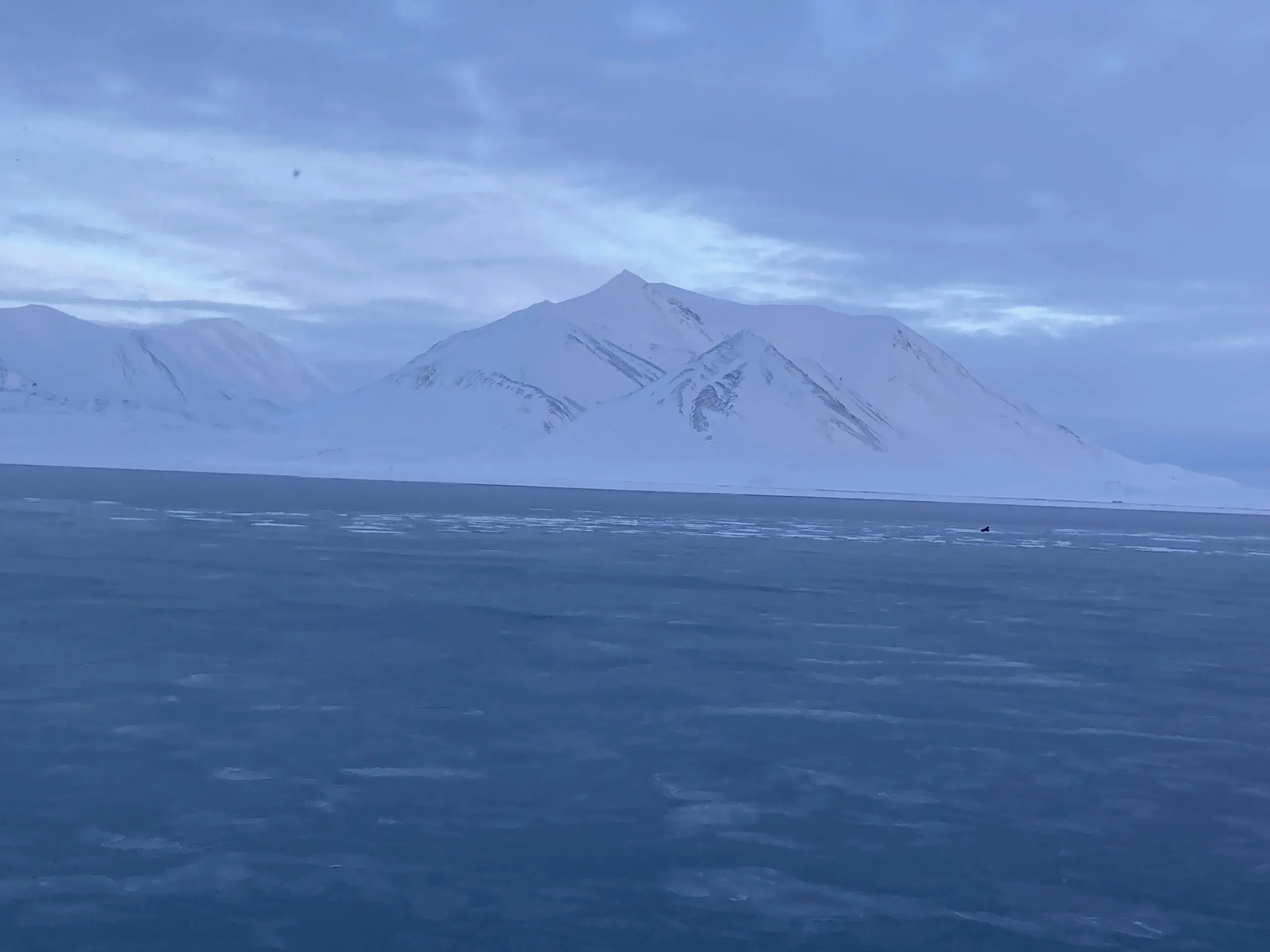 Snow peaks over a dark fjord at dusk
