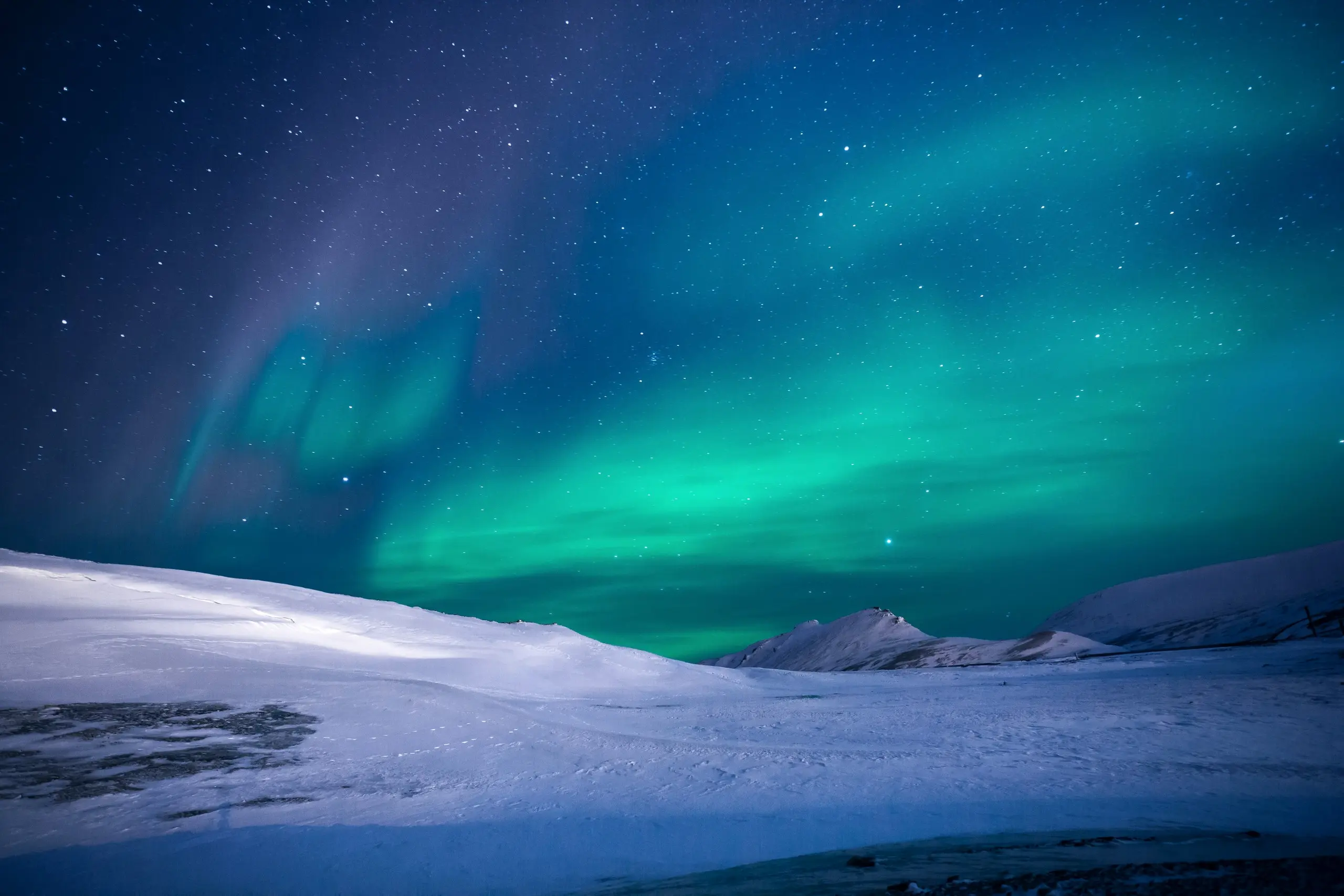 People watching the aurora under a dark polar-night sky