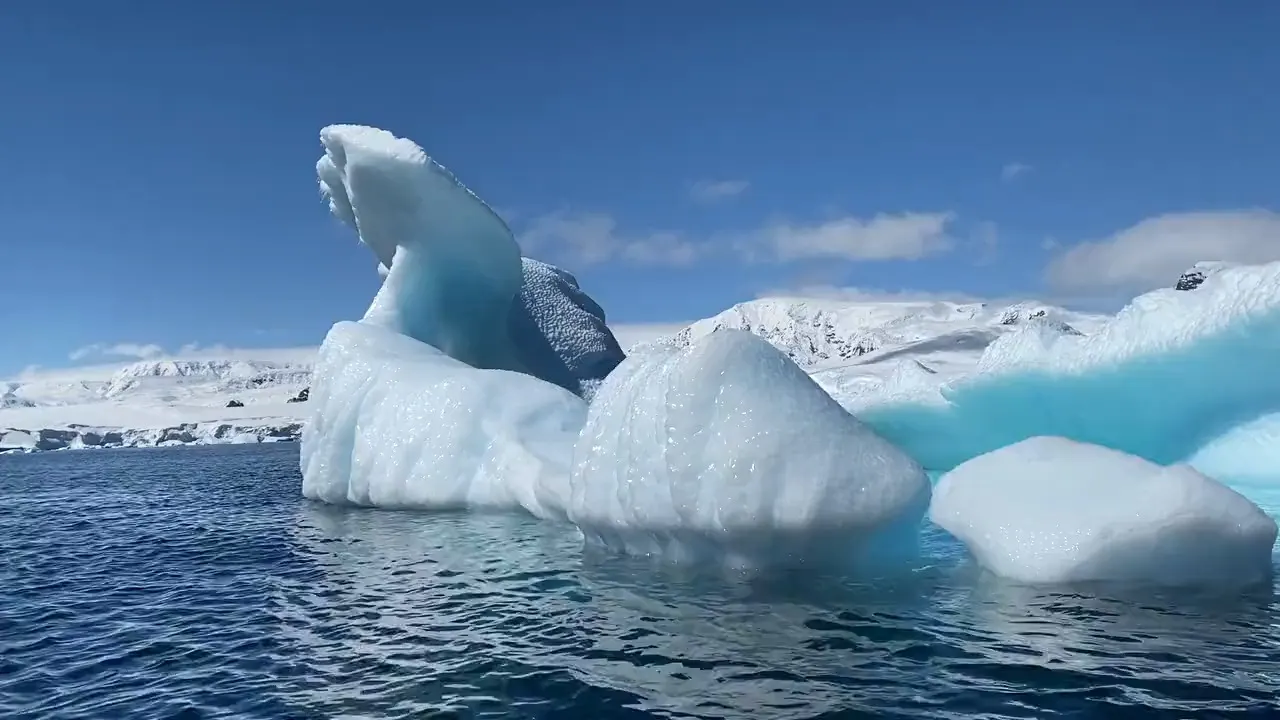 Blue icebergs drifting on dark Arctic water below snowy peaks