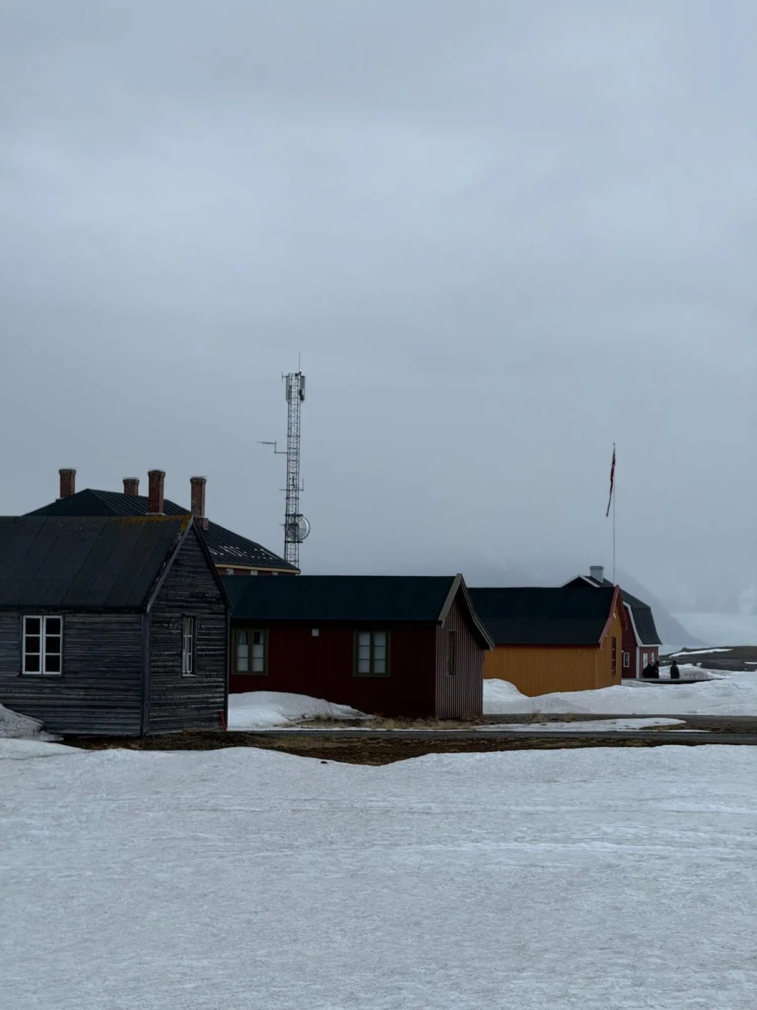 Wooden research-station houses and a radio mast at Ny-Ålesund under snow and low cloud